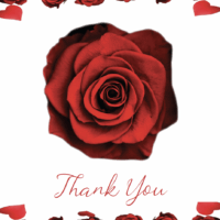 Thank You Card