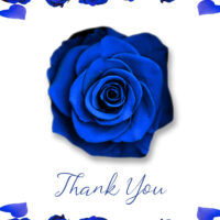 Thank You Card